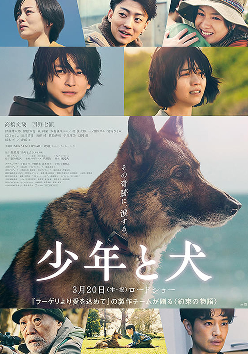 少年と犬