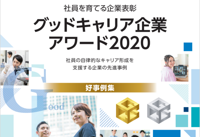 グッドキャリア事業の概要画像